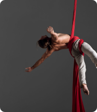 aerial silks